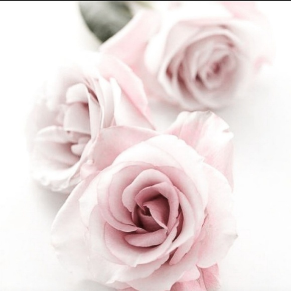 abercrombie kids Other - 🌸 Thank you! 🌸